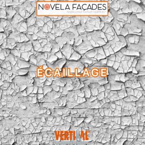 ECAILLAGE