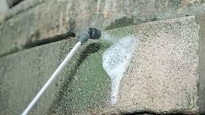 traitement-fongicide-moisissure-facade-albi