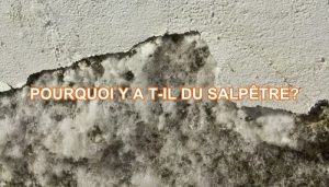 Salpêtre sur façade avec texte Pourquoi y a-t-il du salpêtre ?