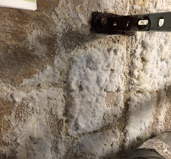 Efflorescence saline sur mur, diagnostic humidité Novela Façades